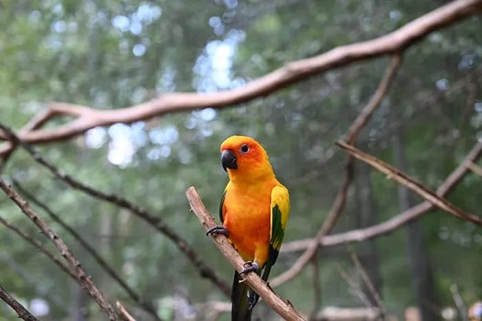 Killbury Bird Sanctuary